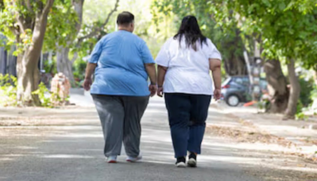 ބަރުދަން އިތުރުވުމާއި އެތެރެހަށި ދުޅަވުން؛ ސިއްހަތަށް އޮތް ނުރައްކަލެއް