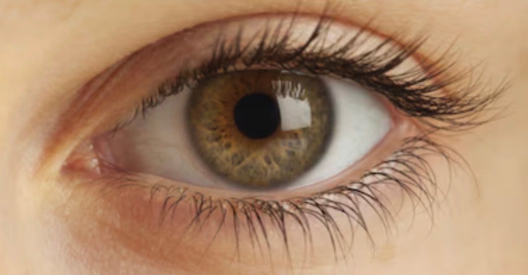 ހިރަފުހާއި އިރުގެ ދޯދިތަކުން ލޯ ރައްކާތެރިކުރާނީ ކިހިނެއް؟