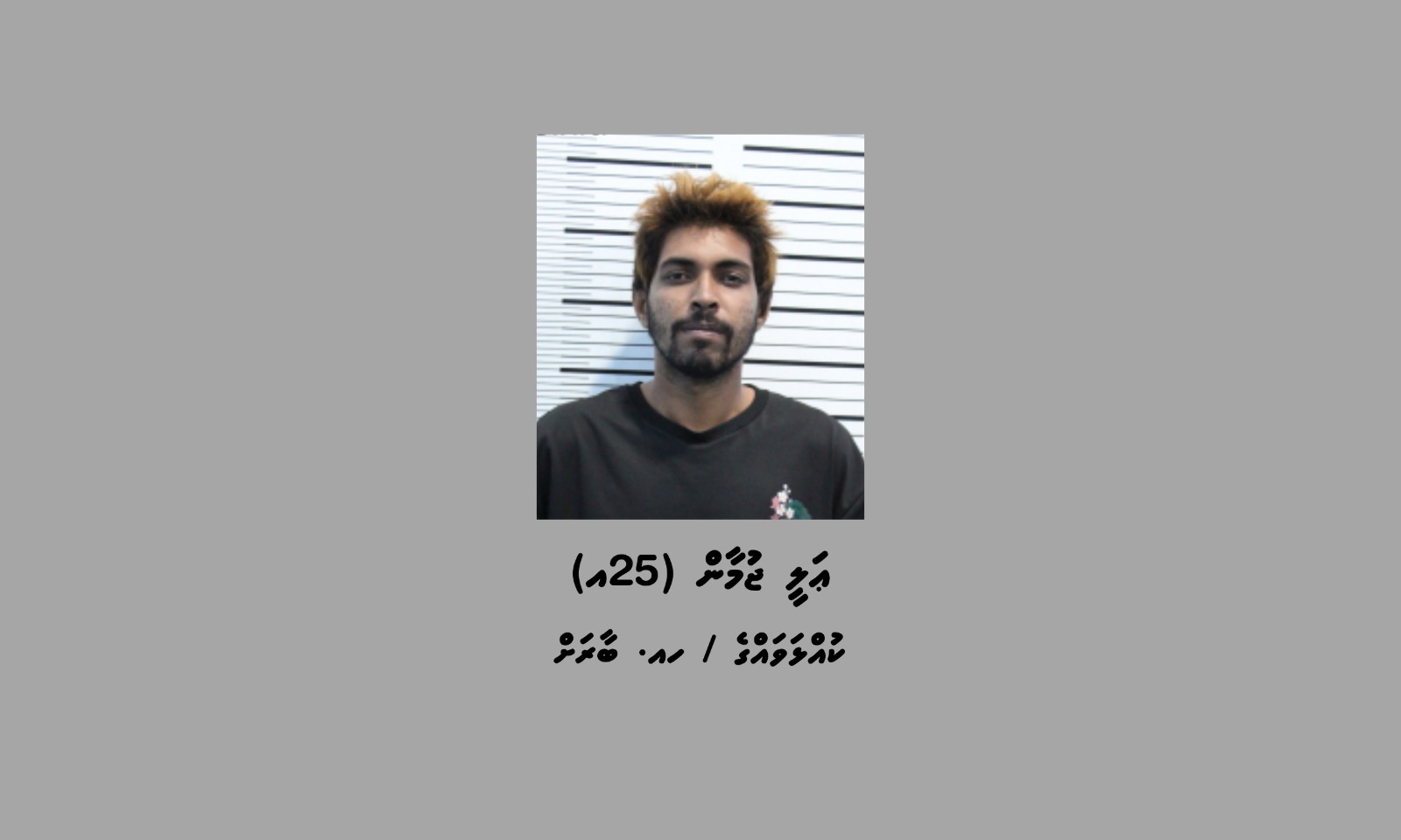 އިމާރާތްތަކާ އުޅަނދުފަހަރުގައި ހުޅުޖަހައި، ފިހާރައެއް ލޫޓުވުމަށް ގޮވާލި "ޑެތު" ހައްޔަރުކޮށްފި