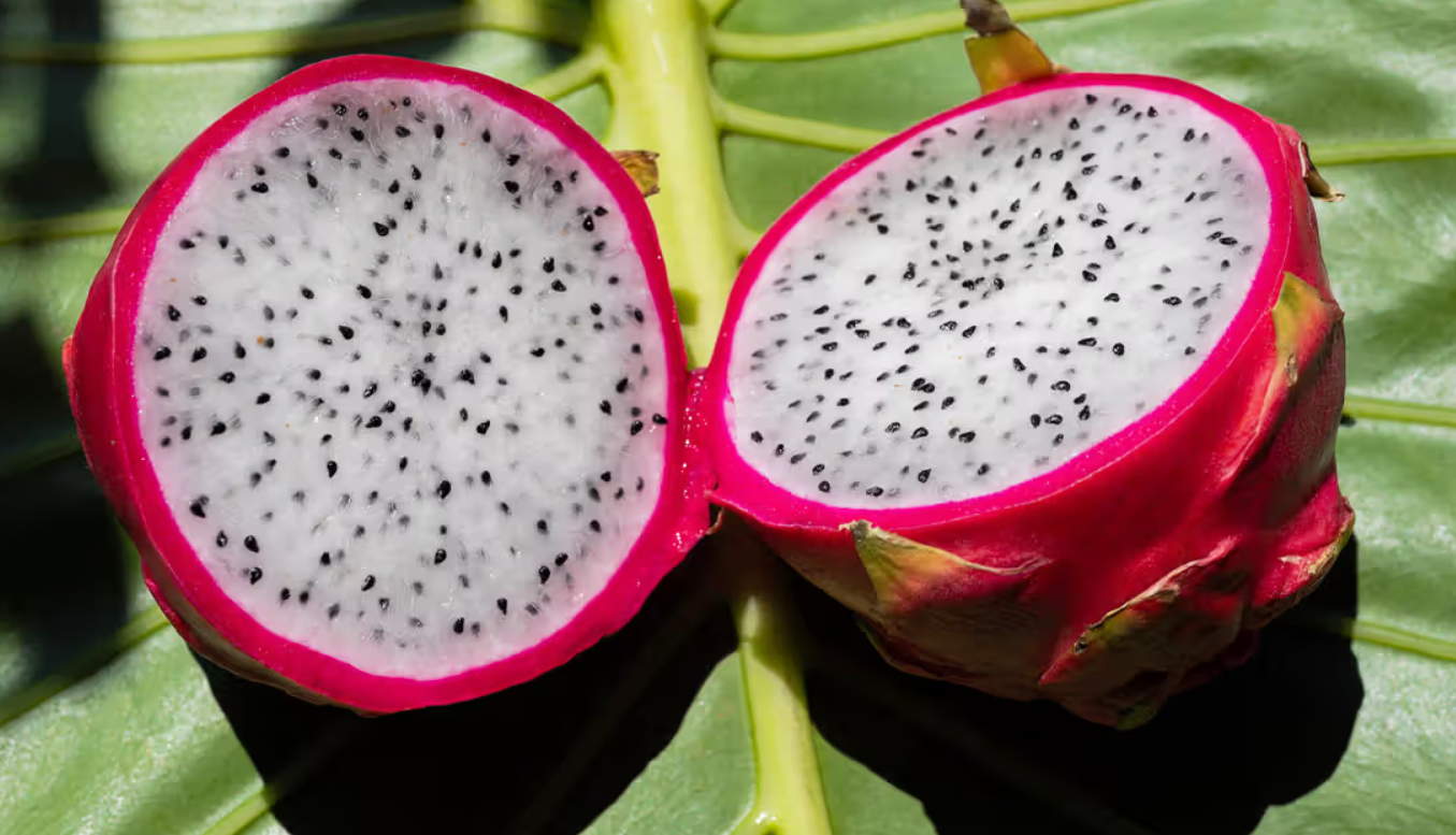 ޑްރެގަން ފުރުޓް: ހިތުގެ ބަލިތަކުން ދުރުކޮށްދީ ބަރުދަން ލުއިކުރުމުގައި އެހީވޭ