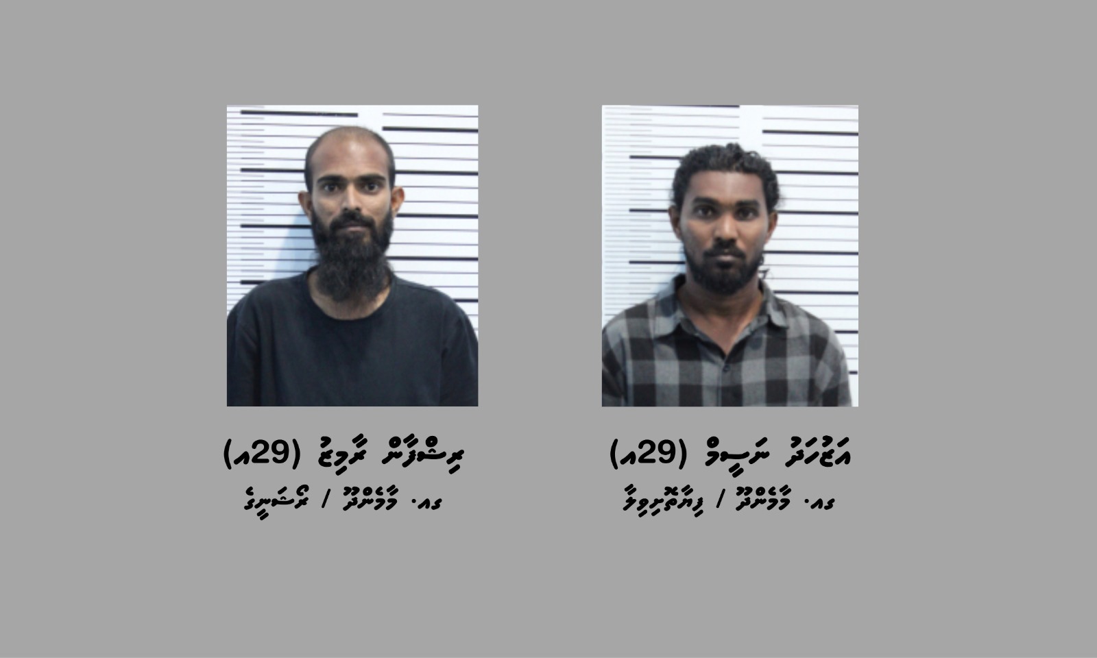 މަސްތުވާތަކެއްޗާއެކު ގއ. މާމެންދޫއިން ހައްޔަރުކުރި ދެ މީހުންގެ ބަންދަށް 5 ދުވަސް ޖަހައިފި
