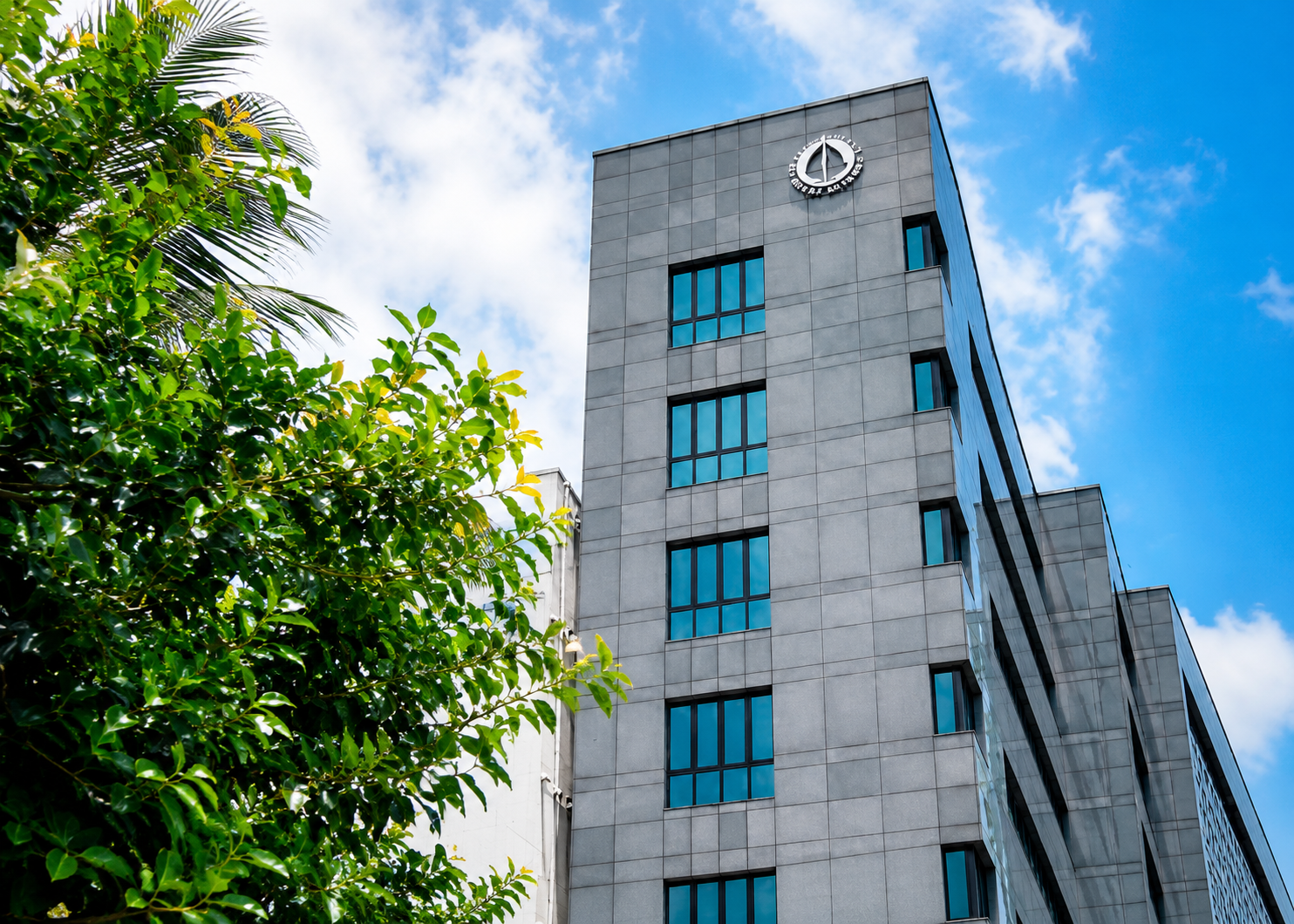 ފަތުރުވެރިން އައި އަދަދު ދަށަށް ދިޔަ ނަމަވެސް، ލިބުނު ބޭރު ފައިސާ އިތުރުވެއްޖެ: އެމްއެމްއޭ