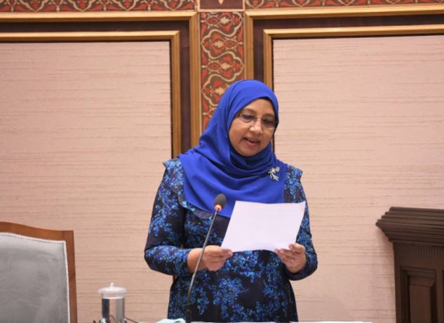 އަންހެނުންނަށް މާލީ އެހީތެރިކަން ފޯރުކޮށްދެން އެބަ މަސައްކަތް ކުރަން : ޖެންަޑަރ މިނިސްޓަރ