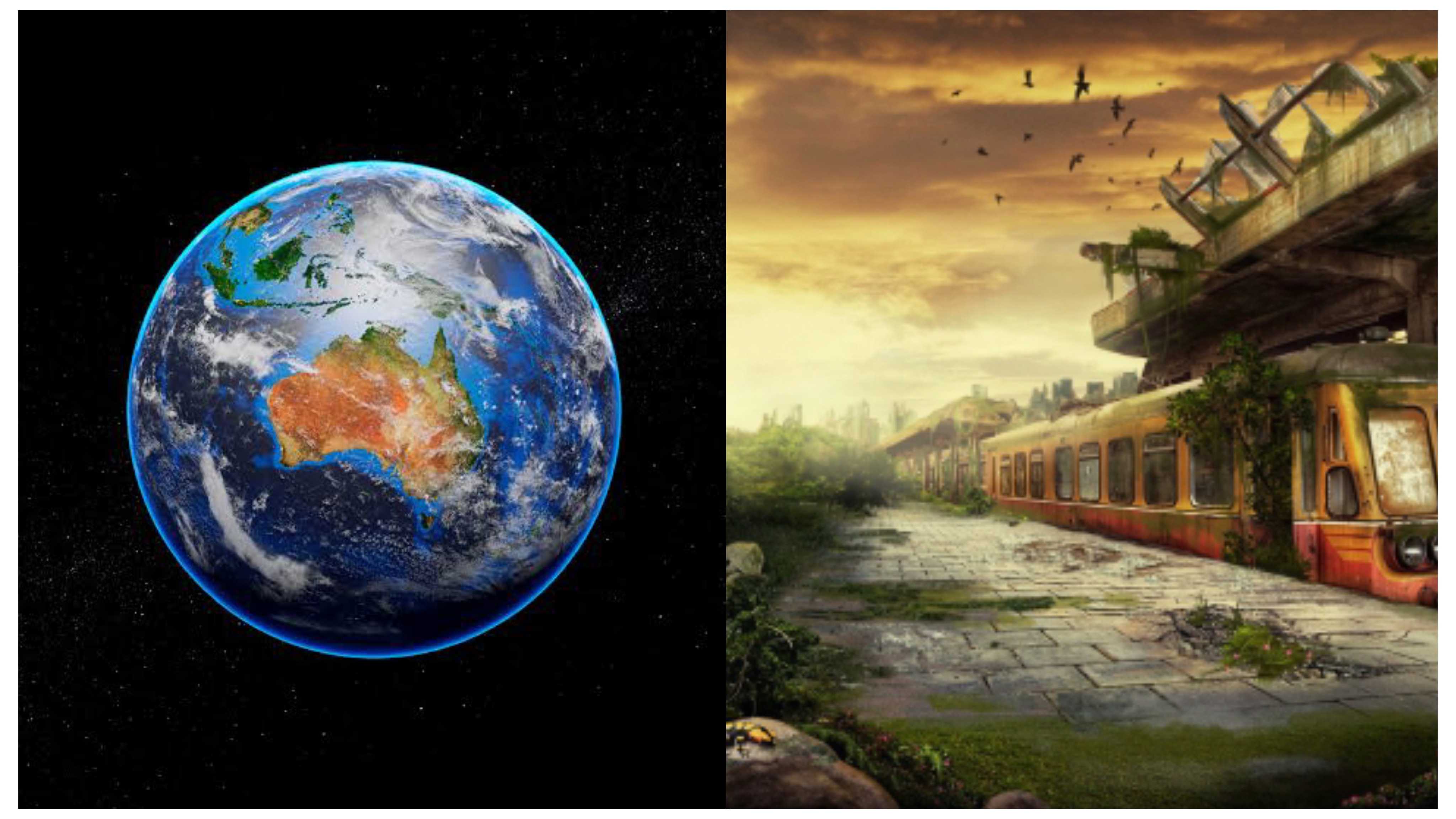 އިންސާނުންނާ ނުލައި ދުނިޔެ: ކޮވިޑް-19 އިން އިންސާނިއްޔަތު ނެތިދިޔަނަމަ ވާނީ ކިހިނެއް؟