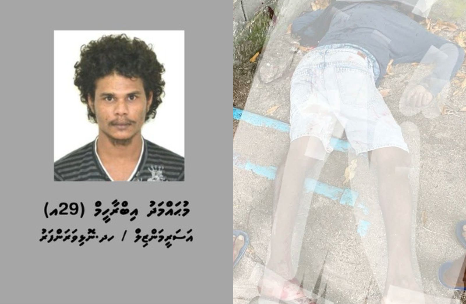 މާވަށު މޫސަ މަރާލަން ބޭނުންކުރި ވަޅި މޫދަށް ފީނައިގެން ހޯދައިފި