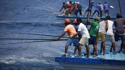 މާލެ ސިޓީގެ މަސްވެރިން މަހަށްދާން ހުއްދަ ދޫކުރަން ފަށައިފި