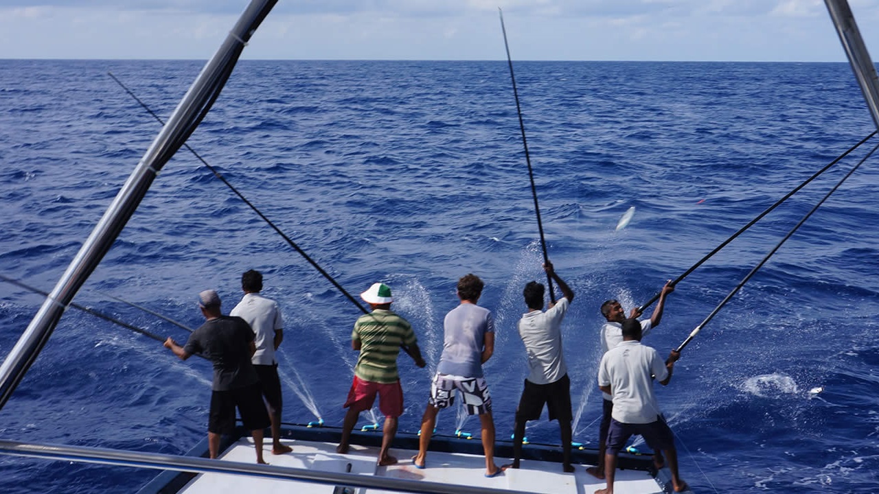 މަހަށް ގޮސް އުޅެނިކޮށް ގެއްލުނު މީހަކު ނިޔާވެފައި އޮއްވާ ފެނިއްޖެ