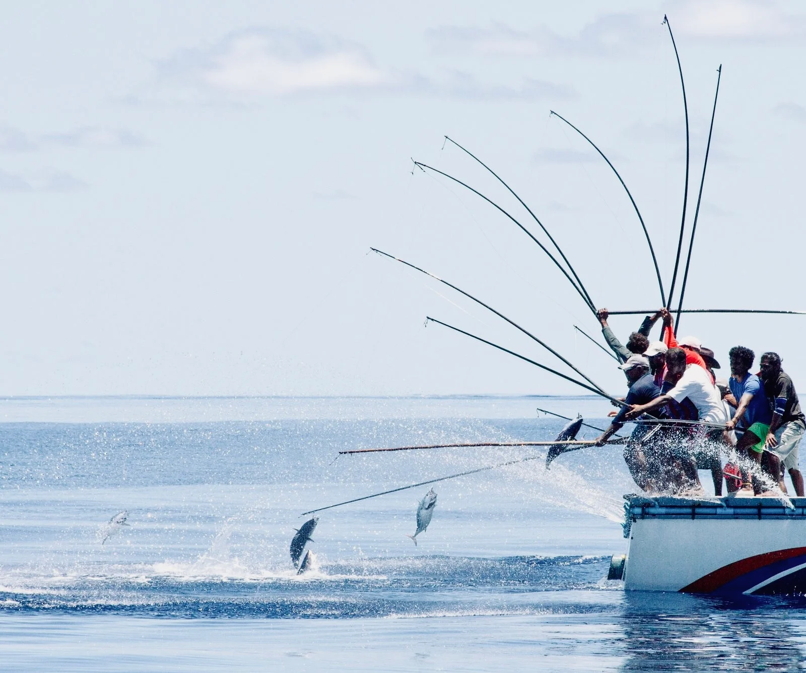 ލޮނުފެނުން މަސް ފިނިކުރާ ނިޒާމަށް ދޫކުރާ ލޯނަށް އެދުމަށް އިތުރު ލުއިތަކެއް