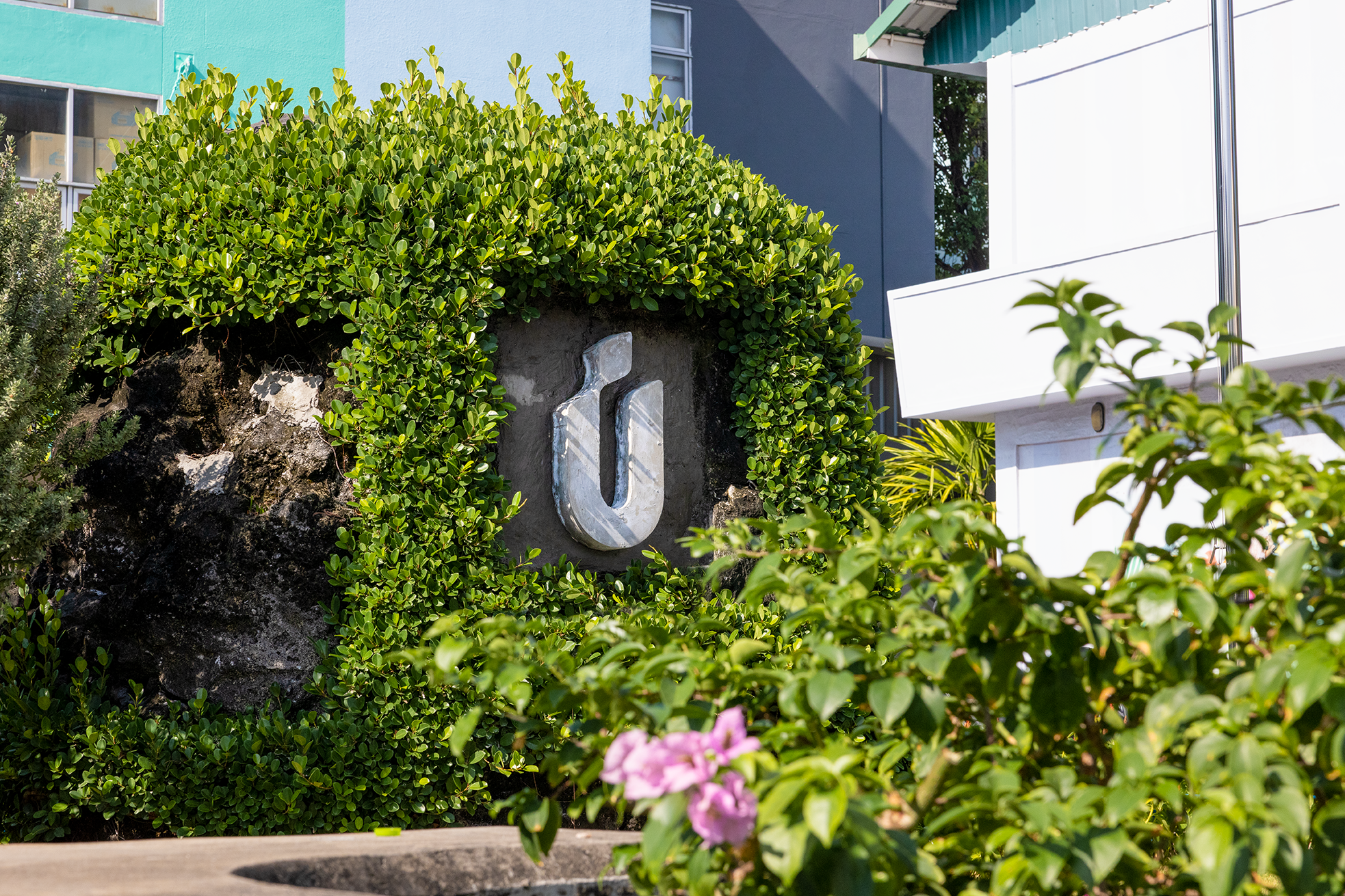 ސޯޝަލް ހައުސިންގ ޔުނިޓްތަކުގެ ޖޫރިމަނާ މައާފްކުރަން ނިންމައިފި