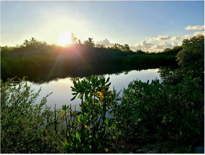 ރާއްޖޭގައި އީކޯ-ޓުއަރިޒަމްގެ މަޝްރޫއެއް ފަށަނީ