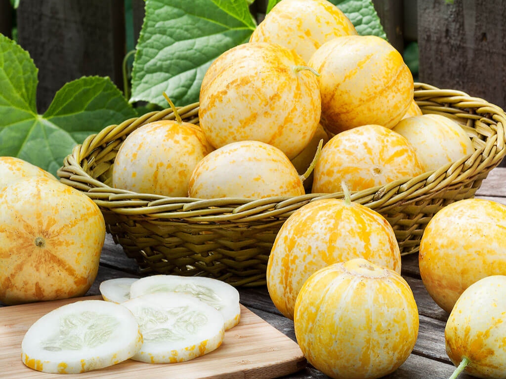 ލެމަން ކިއުކަމްބާ އެނގޭތަ؟