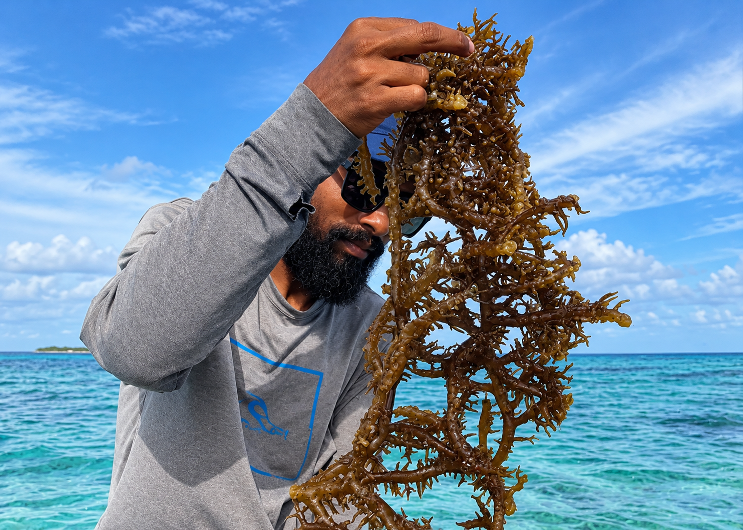 އެސްޑީއެމް ފާމުގެ ވެރިޔާ: ސައްދާމް