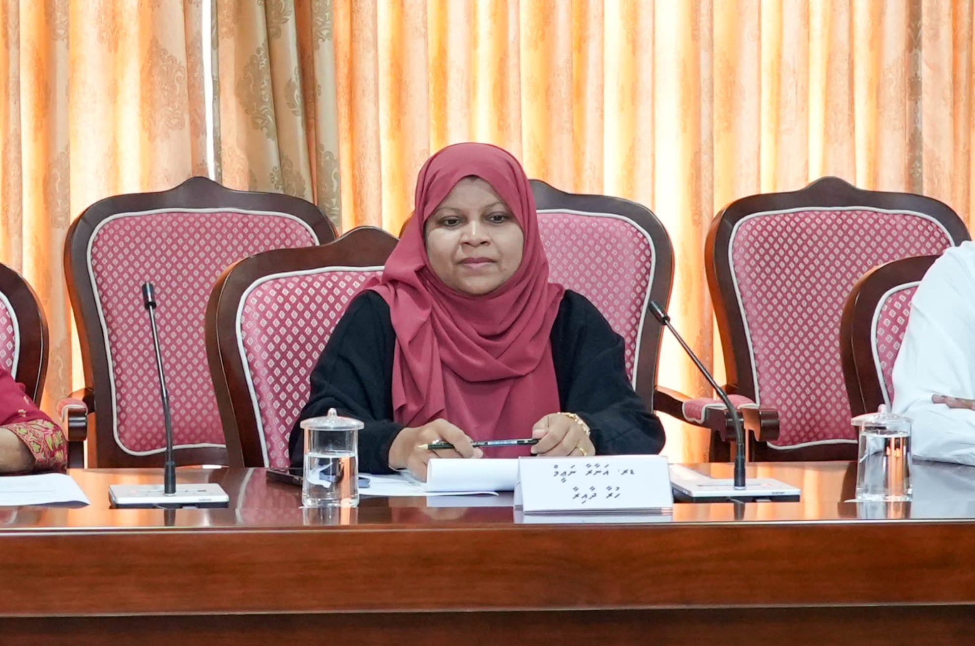 ބިދޭސީންގެ ފީތައް ދެއްކޭނީ ދަޢުލަތުންވެސް ކުންފުނިތަކަށް ފައިސާ ދިނުމުން: އަނާރާ