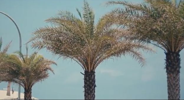 މުއިއްޒުގެ ކަދުރު ރުއްތަކަށް މިވަނީ ކިހިނެއް؟