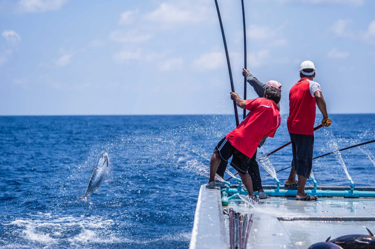 ދަފުތަރުގައި ތިބި 89 މަސްވެރިއަކަށް ބީއެމްއެލް އިން ލޯނު ދޫކޮށްފި