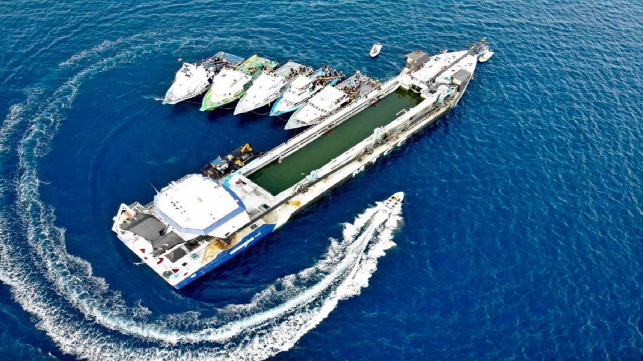 އެމްޓީސީސީން ދުވާލަކު ހެކްޓަރެއް ހިއްކޭވަރުގެ ޑްރެޖަރެއް ގެންނަނީ