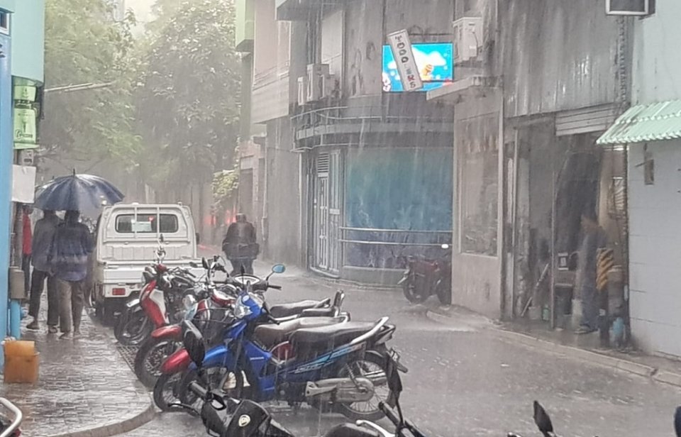 މޫސުން ގޯސް، ރައްކާތެރިވޭ!