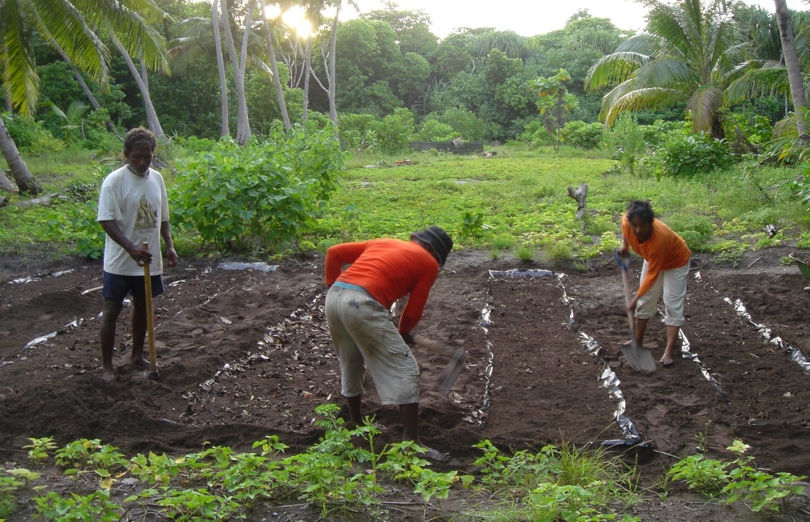 އެގްރޯނެޓަށް ދޫކުރި ދެރަށުގެ މަސައްކަތް މިއަހަރު ފަށަނީ