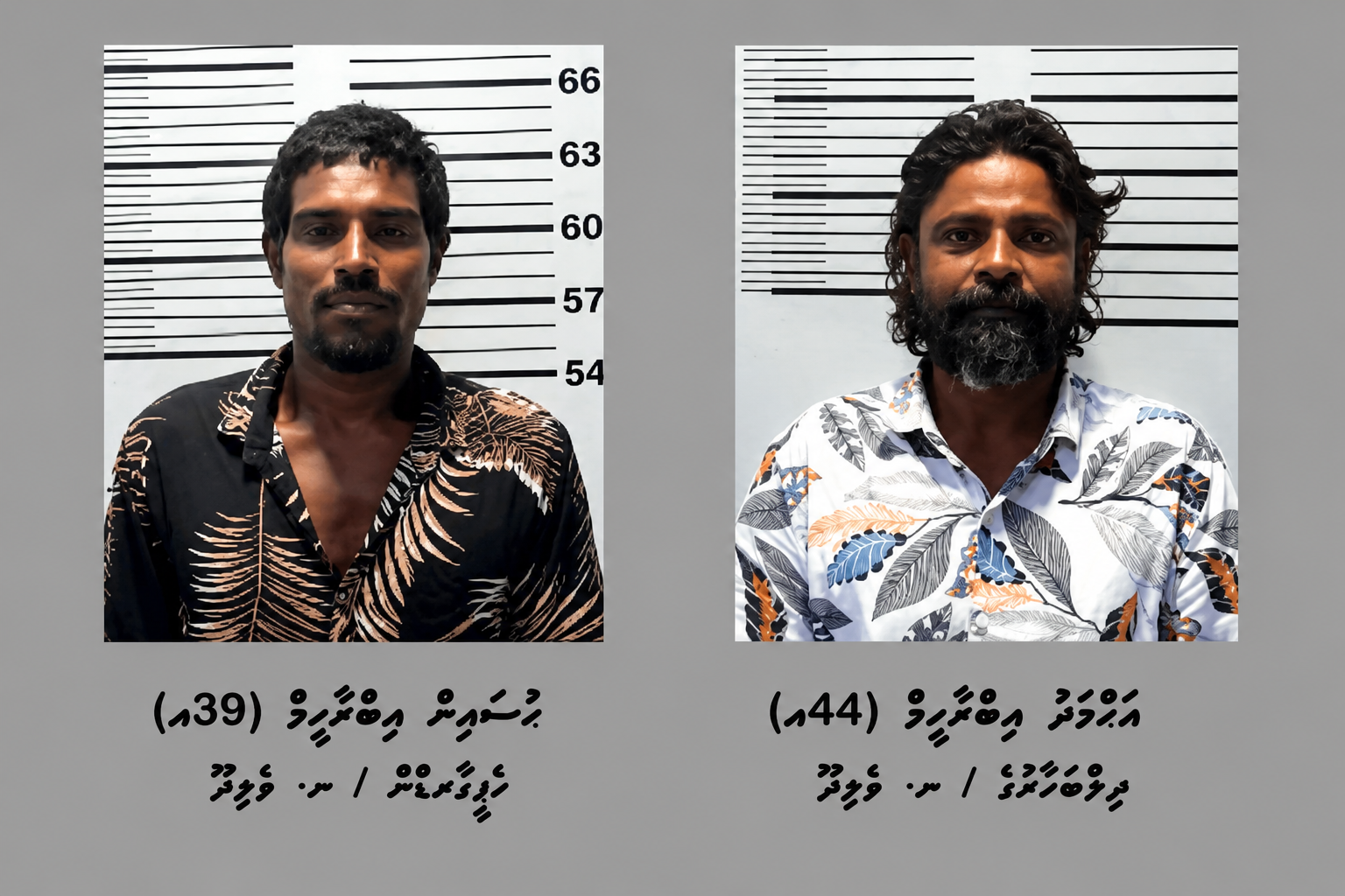 ޑައިމޯފިން ޓްރެފިކް ކުރުމުގެ ކުށް ސާބިތުވެ، ނ. ވެލިދޫ ދެމީހަކު އުމުރަށް ޖަލަށްލުމަށް ހުކުމްކޮށްފި