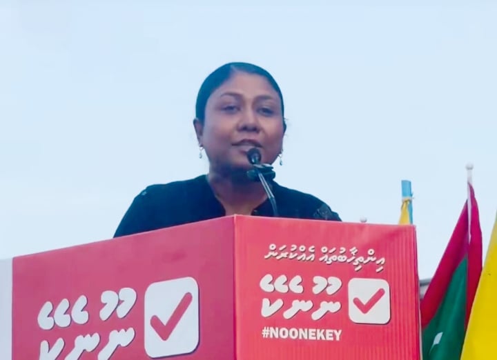 ޤާނޫނުއަސާސީގެ ފާރު ތަޅާލަން ސަރުކާރަށް ފުރުޞަތު ދީގެން ނުވާނެ: ހިސާން