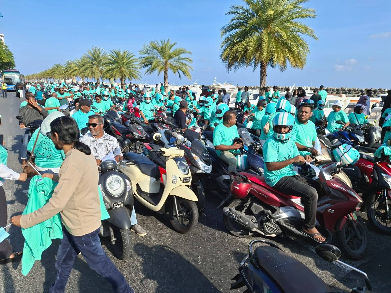 ޕީއެންސީގެ ހަރަކާތެއްގެ ތެރެއިން