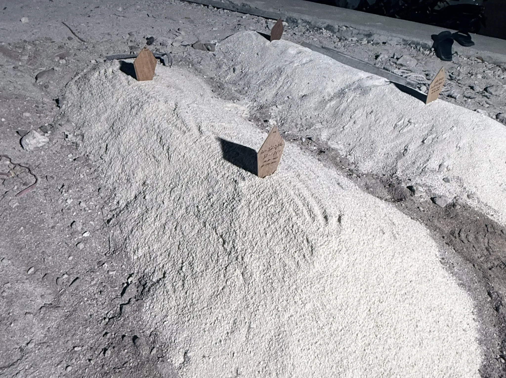 އިހުމާލުން ތުއްތު ކުއްޖަކު މަރުވުން.