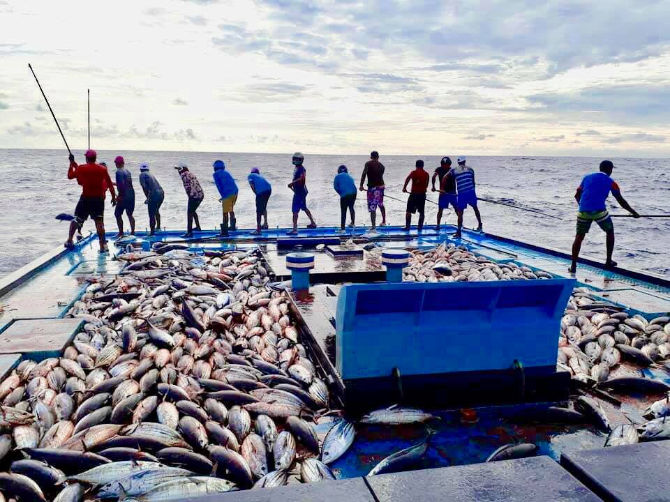 މަސްވެރިންނަށް ހައްގު މިންވަރު ހޯދައިދޭން ކުރާ މަސައްކަތް އިތުރު ހަރުފަތަކަށް ގެންގޮސްދޭނަން: ރައީސް