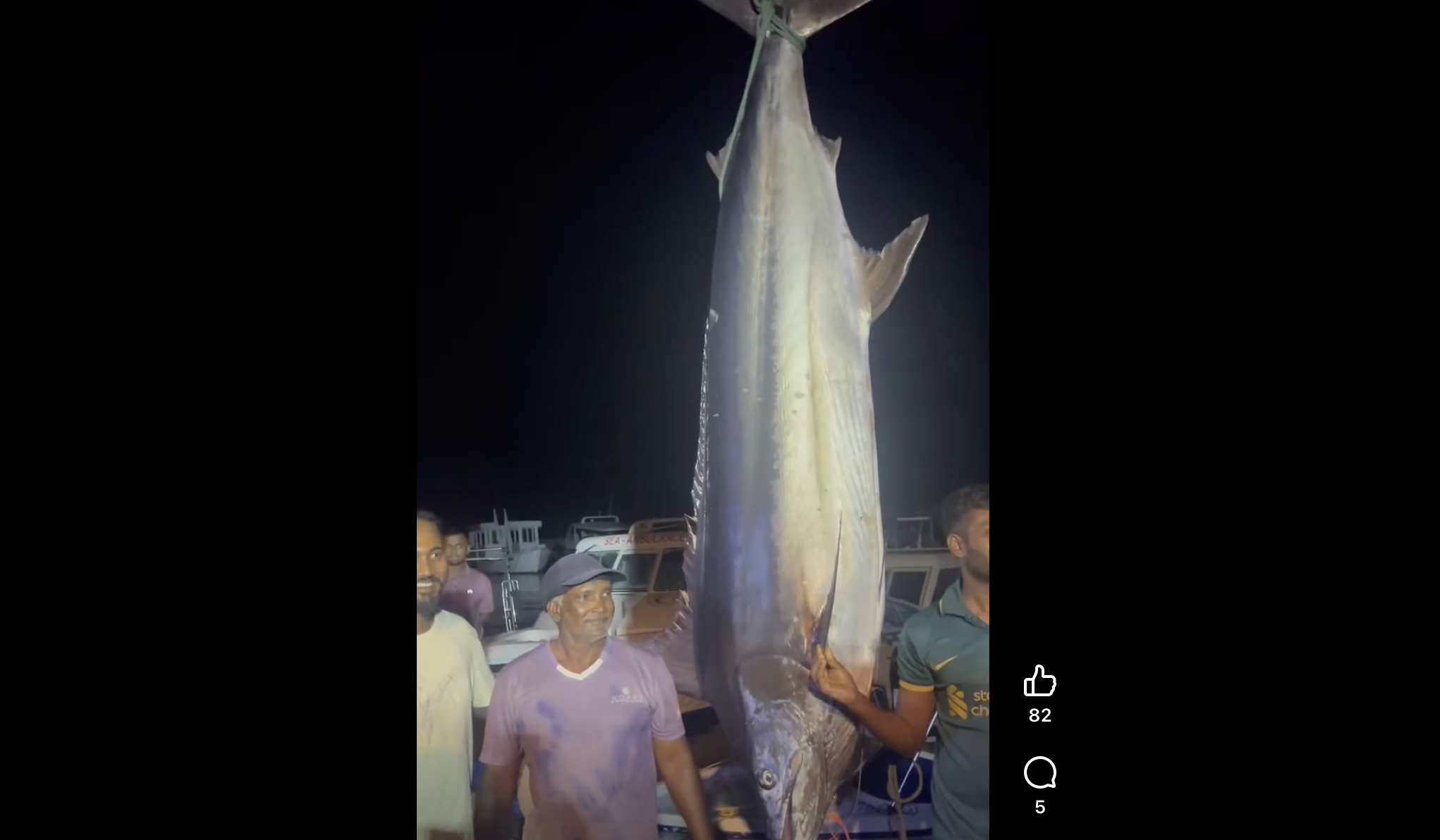 އއ. ރަސްދޫ ދޮންބޭގޭ މުހައްމަދު އެކަނި މަހަށް ނުކުމެ 152 ކިލޯގެ ބޮޑު މަސްހިބަރެއް ބާނައިފި