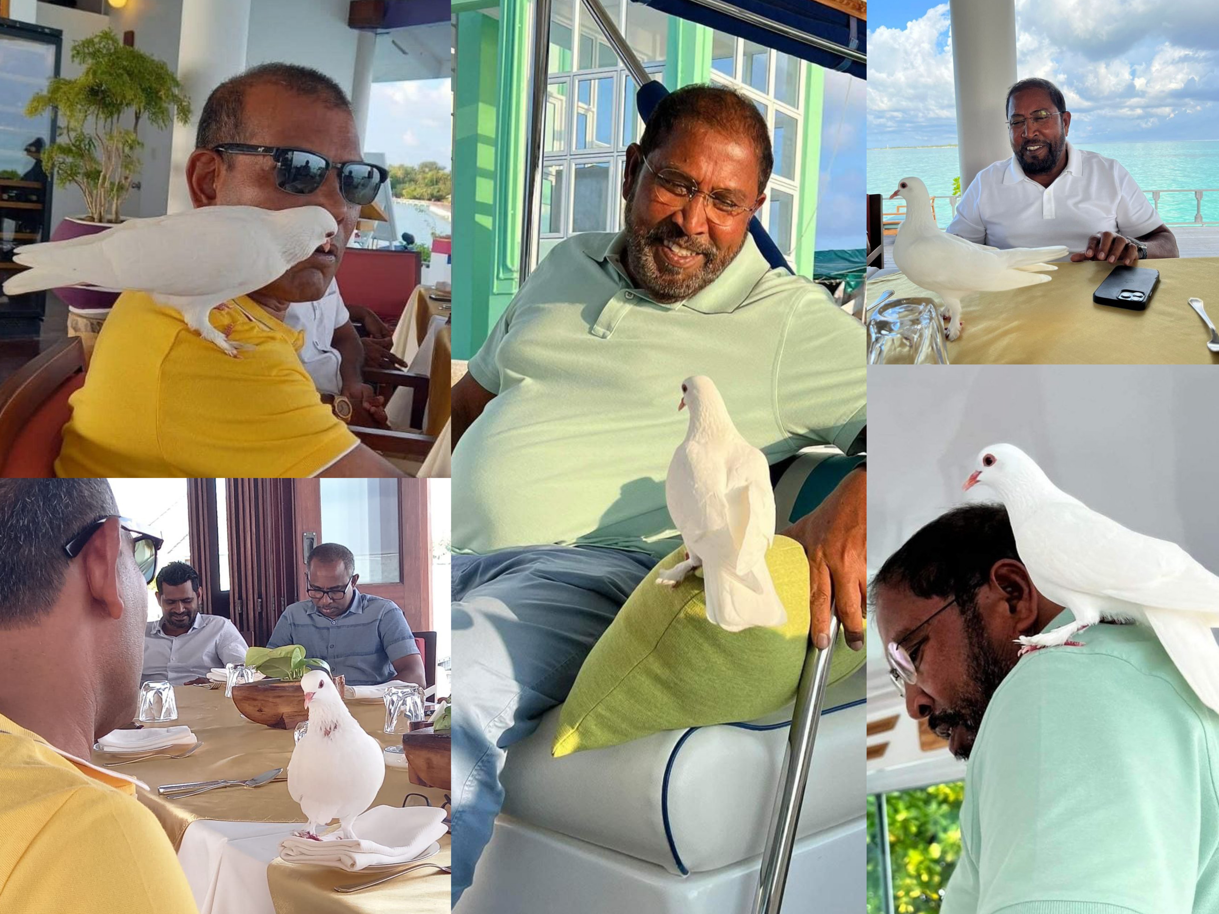 ގާސިމާއި ނަޝީދުގެ ބައްދަލުވުމެއް: ސަމާލުކަން ލިބުނީ ހުދު ކޮތަރަކަށް!