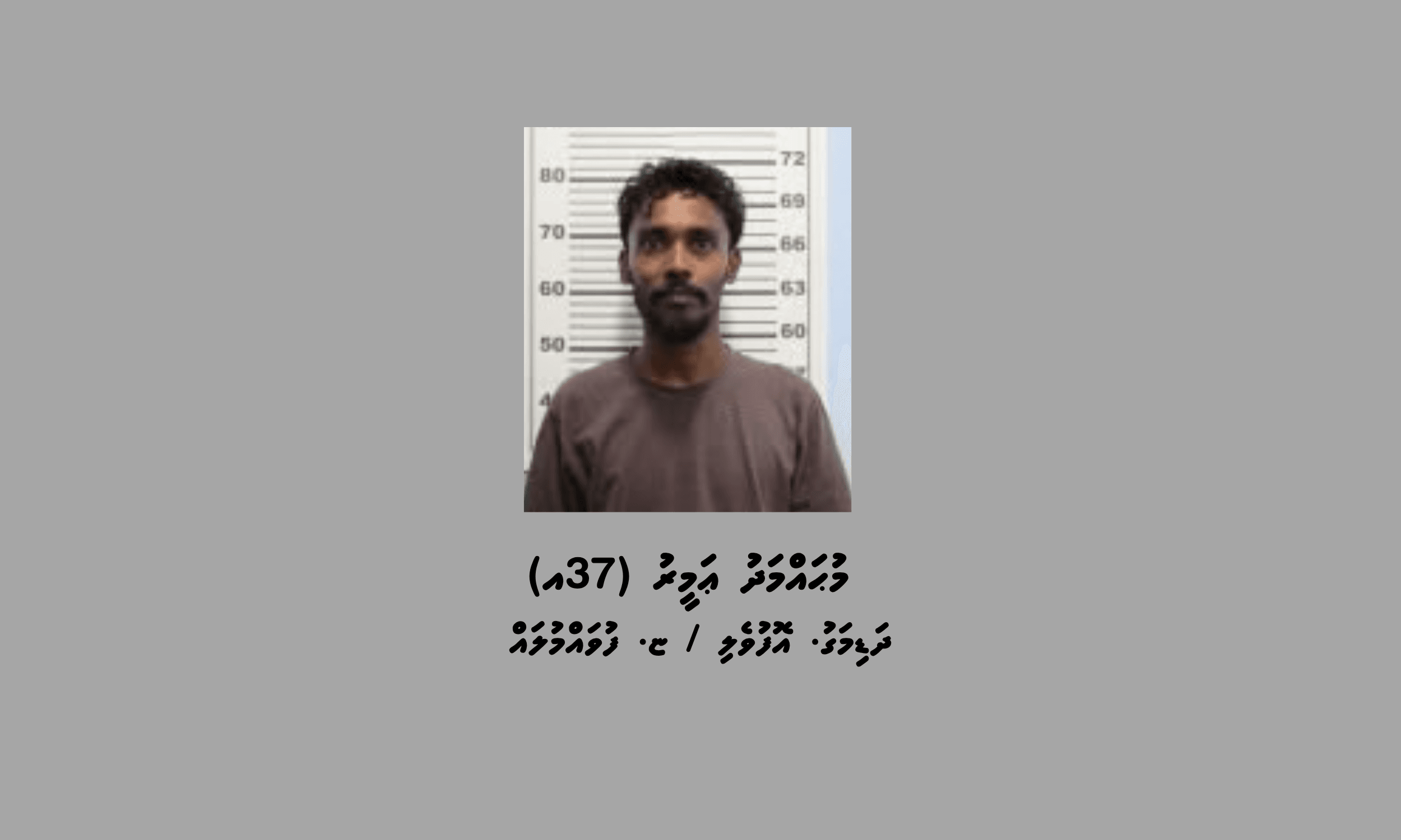 ފުވައްމުލަކުގައި މަސްތުވާތަކެތީގެ ވިޔަފާރިކުރި މީހަކު ހައްޔަރުކޮށް، ބަންދަށް 12 ދުވަސް ޖަހައިފި
