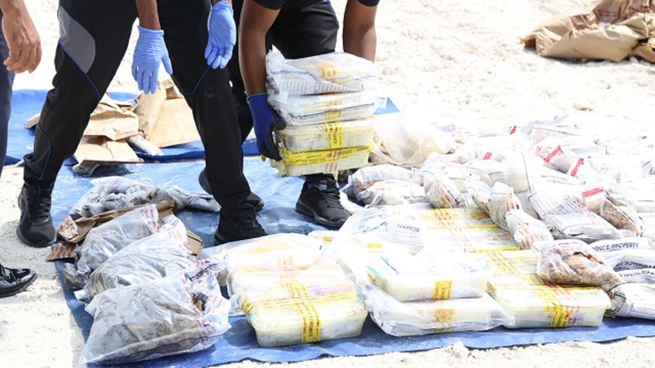 މަސްތުވާތަކެތި ނައްތާލާއިރު އޮބްޒާވަރުންގެ ގޮތުގައި އާންމުން