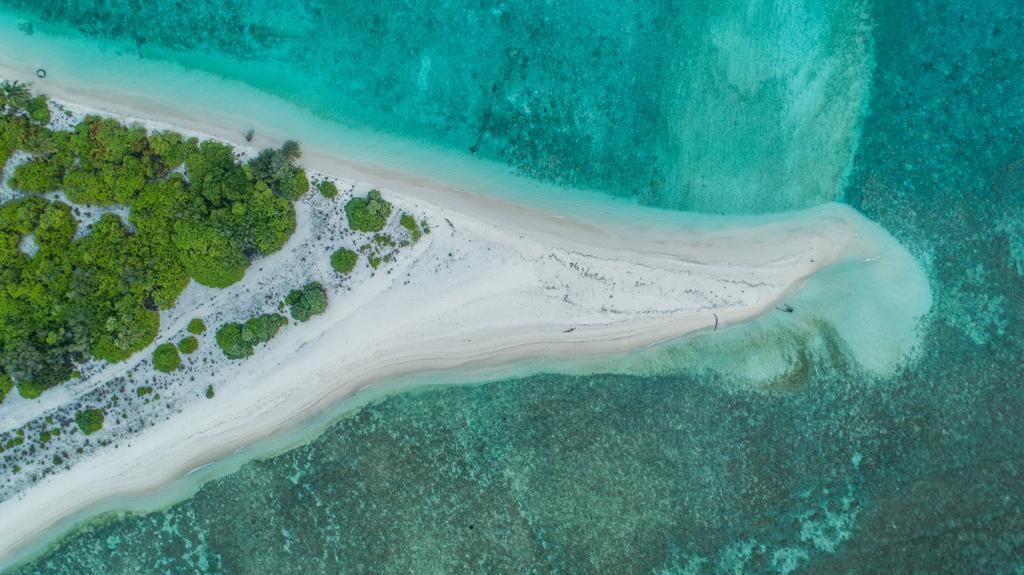 ހޯމް ކަރަންޓީނަށް ދިޔަ ދިވެހި ޒުވާނަކު ދޯނި ރަށަށް ލެފިއިރު ނެތިގެން ހޯދަން ފަށައިފި