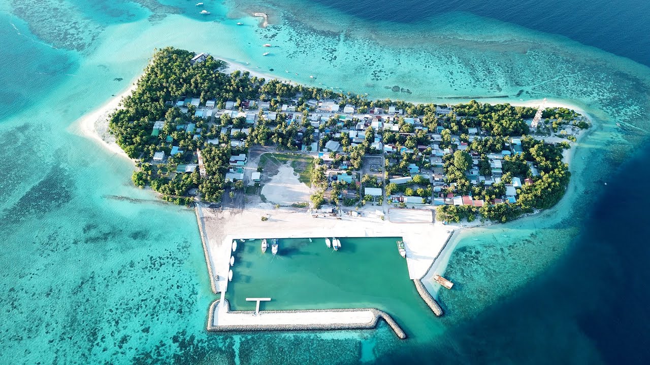 އއ. ހިމަންދޫގައި މޫދަށް އެރި އުޅުނު ދެ ކުއްޖަކު ގެނބެމުން ދަނިކޮށް ސަލާމަތްކޮށްފި