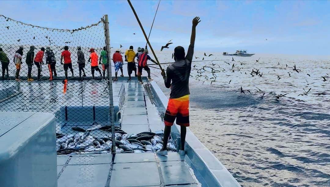 ދެކުނުގެ މަސްވެރިކަން ރަނގަޅުވުމުގެ މަލަމަތި ފެންނަން ފަށައިފި: މިފްކޯ