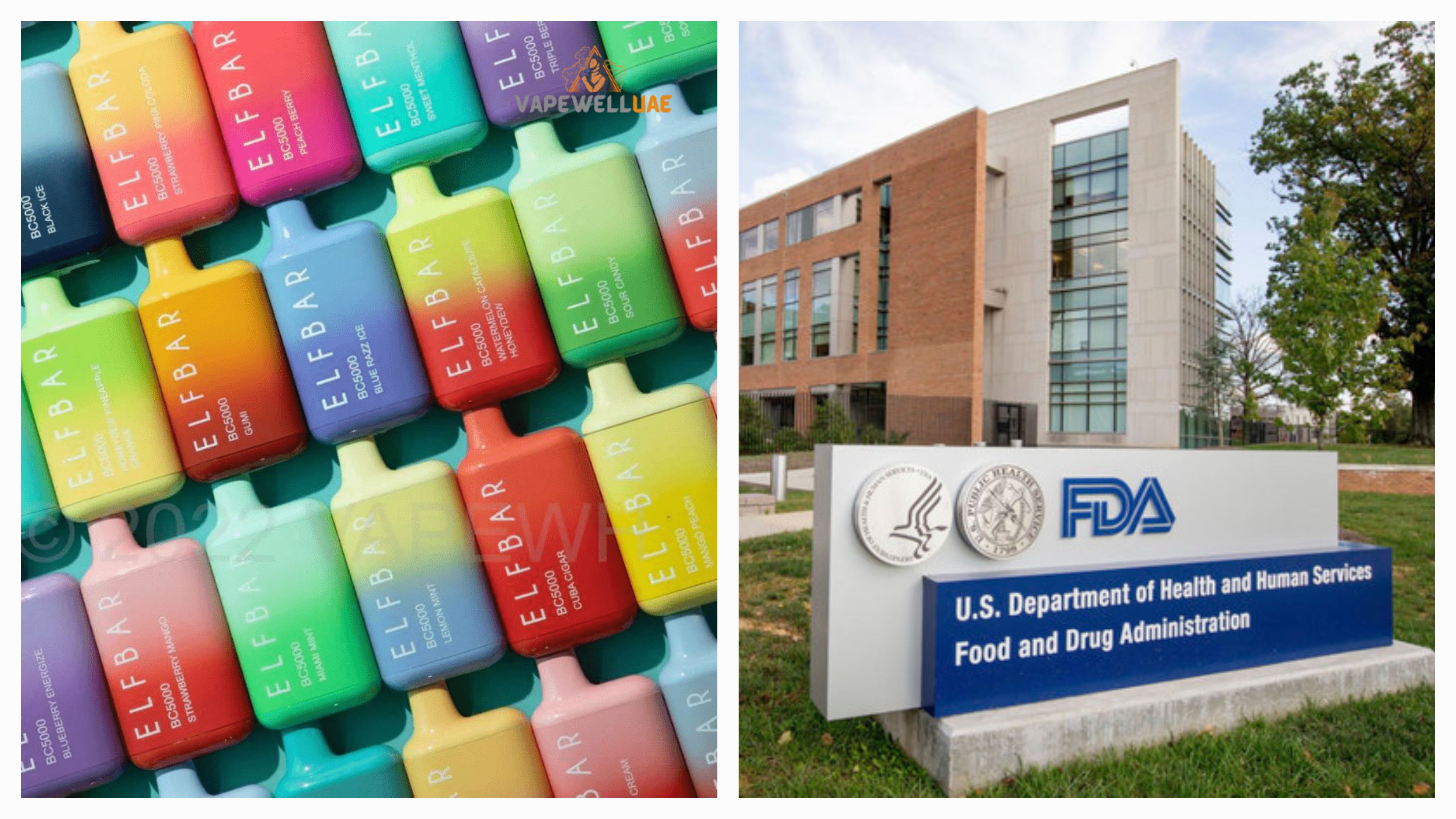 އެލްފް ބާގެ ވޭޕް ވިއްކުން ހުއްޓާލަން އިންޒާރު ދީފި