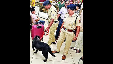 ފުލުހުންގެ ކުއްތާއެއް 8 ކިލޯމީޓަރަށް ދުވެ ހާލުގައި ޖެހިފައި އޮތް މީހަކު ސަލާމަތް ކޮށްފި