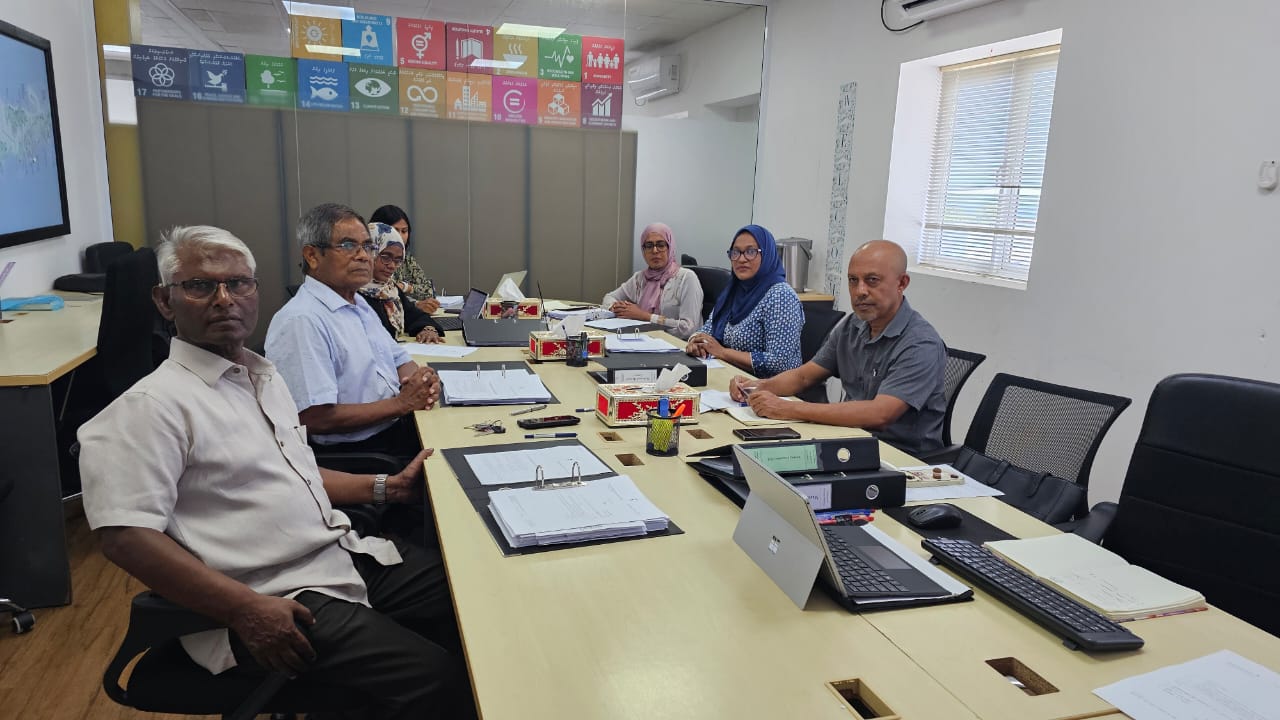 ގޯއްޗާއި ފްލެޓާ ގުޅޭގޮތުން ލަފާދޭ ކޮމިޓީއަށް އިތުރު ތިންބޭފުޅަކު އައްޔަނުކޮށްފި