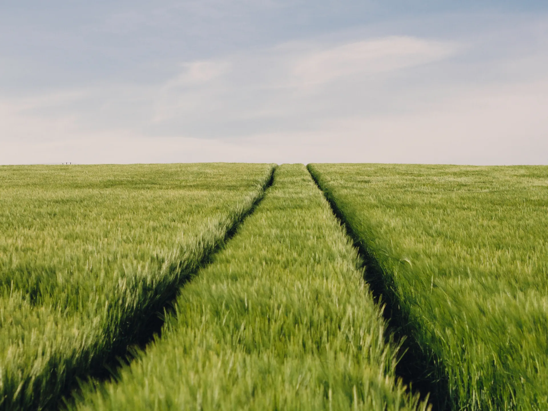 'ޕެރަލަލް ލައިފް ސިންޑްރޯމް'އަކީ ތިމާމެންގެ ގުޅުމަށް ބުރޫއަރުވާ ކަމެއް ހެއްޔެވެ؟