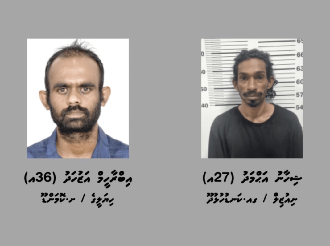 ޓެރަރިޒަމްގެ މައްސަލައެއްގެ ތަހުގީގަށް ދެ މީހަކު ހޯދަނީ