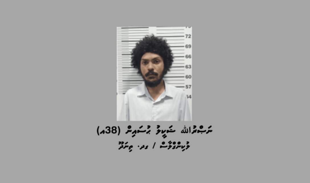 ވިނަރެސް ފުލެޓެއްގެ ކަރަންޓު ފޮށިތަކަށް ގެއްލުންދީ ވައްކަން ކުރި މީހަކު ހައްޔަރުކޮށްފި