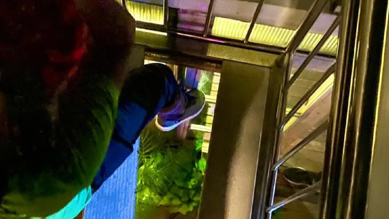 މާލޭގައި ހިންގާ ރެސްޓޯރެންޓެއްގެ ސިޑިއެއް ބިނދި ކުޑަ ކުއްޖަކަށް އަނިޔާވެއްޖެ