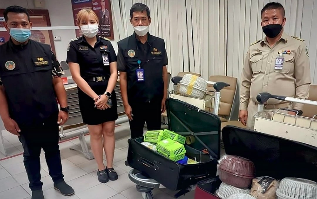 ތައިލެންޑުން ވަގަށް ދޫނިތަކެއް ބޭރުކުރަން އުޅުނު ދިވެއްސަކު ހައްޔަރުކޮށްފި