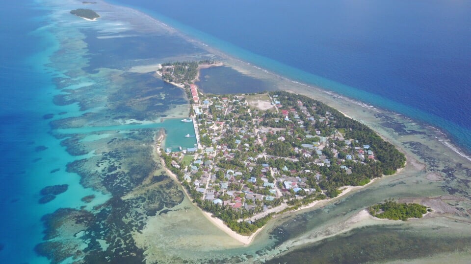 ކޮލަމާފުށީގައި ދިރިއުޅެން ނުފަށާހުރި ގޯތިތައް ނަގައިފި