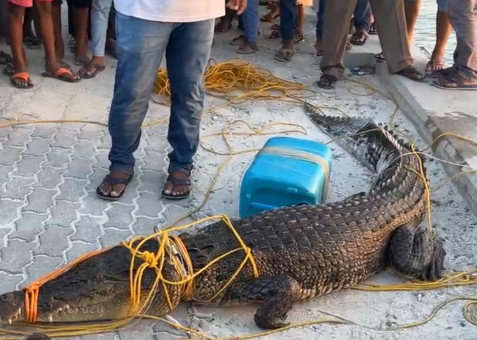 ކިނބޫ މިހާރު އޮތީ ސިފައިންގެ ބެލުމުގެ ދަށުގައި