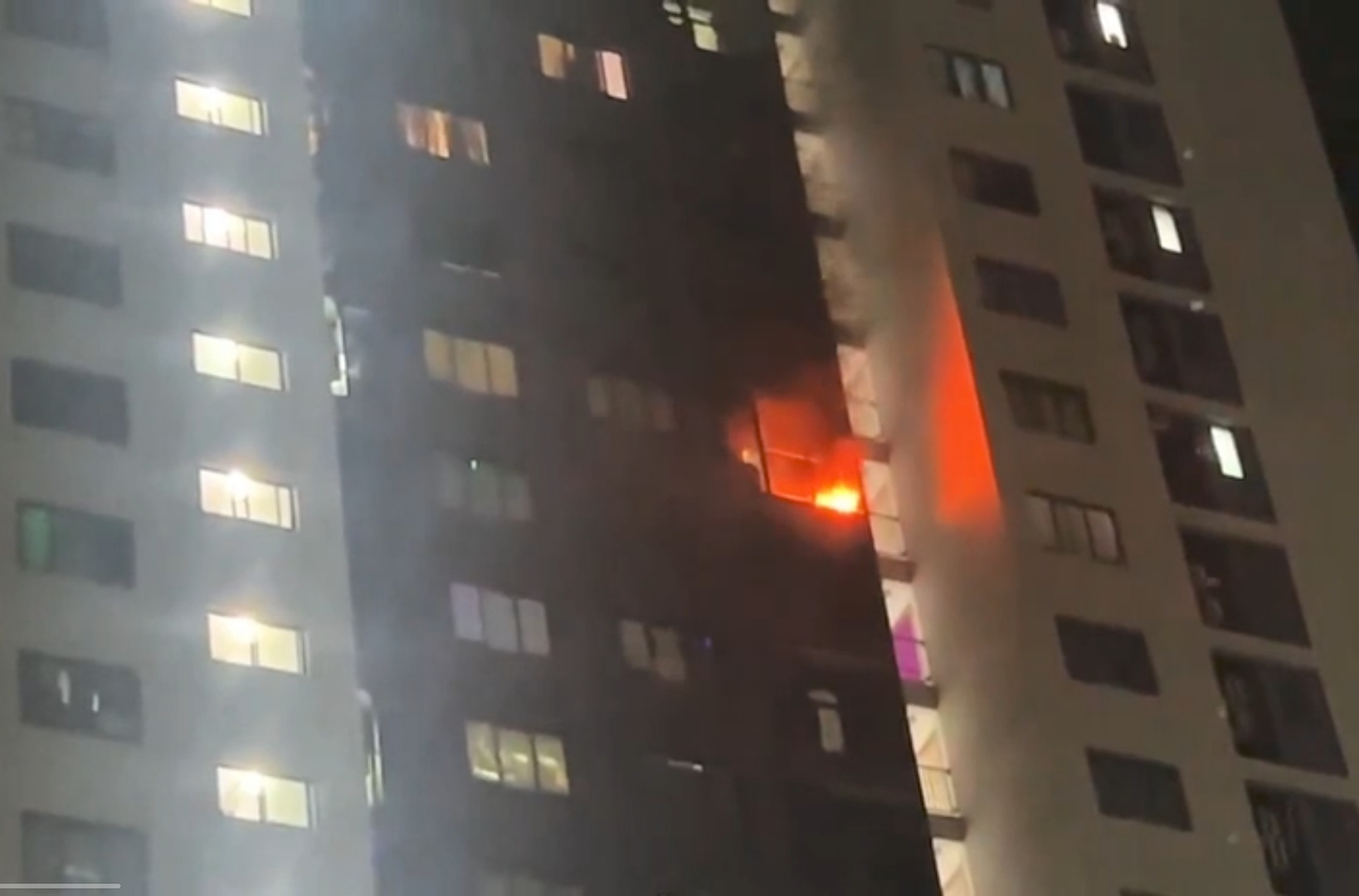 ހިޔާ ޓަވަރުގައި ރޯވި އަލިފާން ނިއްވާލައިފި