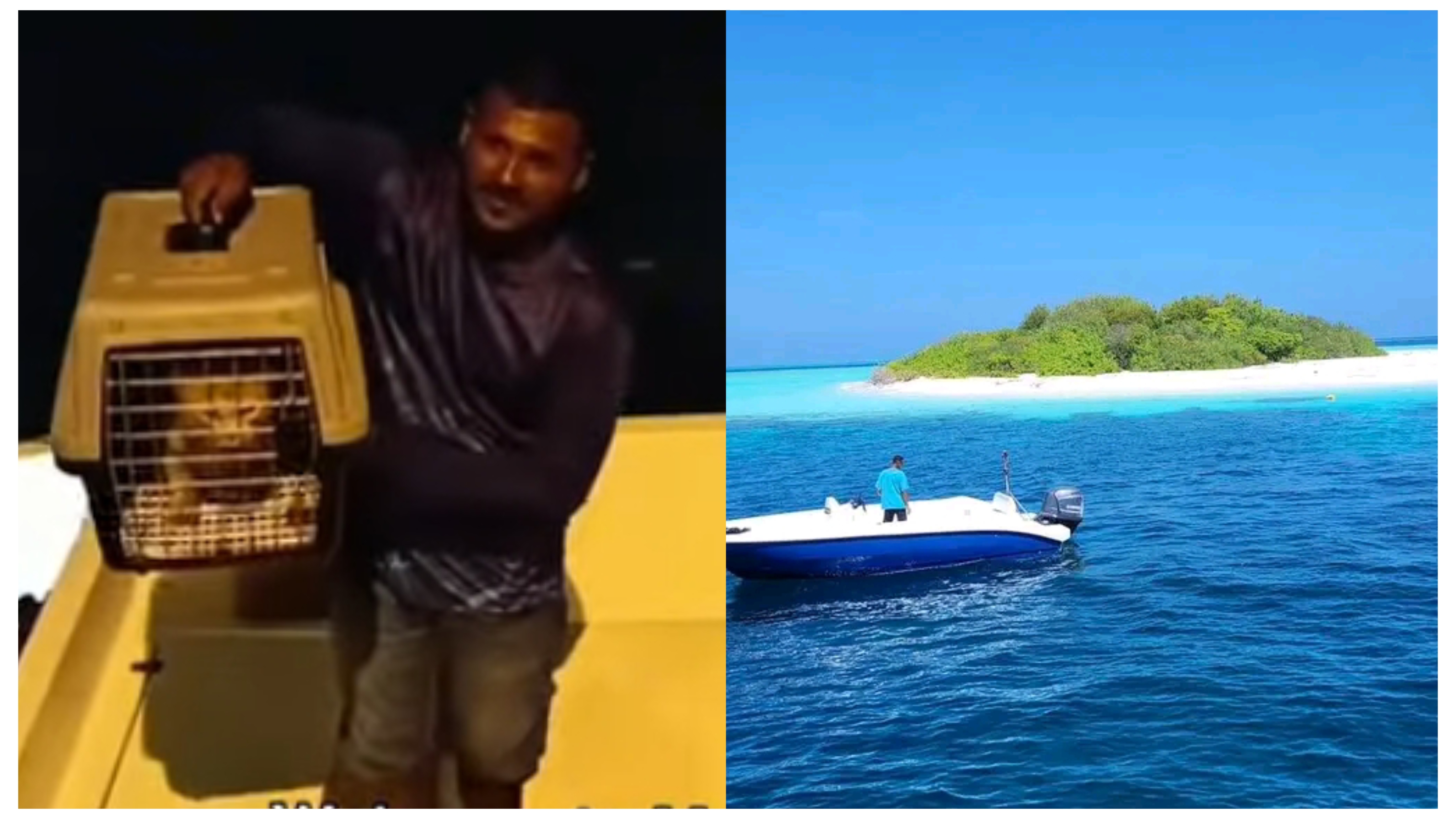 ފެންބޯފިނޮޅުން ބާކީވެފައި އޮތް ބުޅާ ސަލާމަތްކޮށްފި