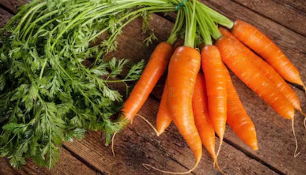 ކެރެޓު ކެއުމުން ލޮލުގެ ފެނުން ރަނގަޅުވޭތަ؟