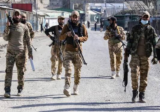 ޕާކިސްތާނާއި އަފްޣާނިސްތާނުގެ ގުޅުން ގޯސްވެ، "ހާމަކަން ބޮޑު ހަނގުރާމައަކަށް" ބަދަލުވެއްޖެ