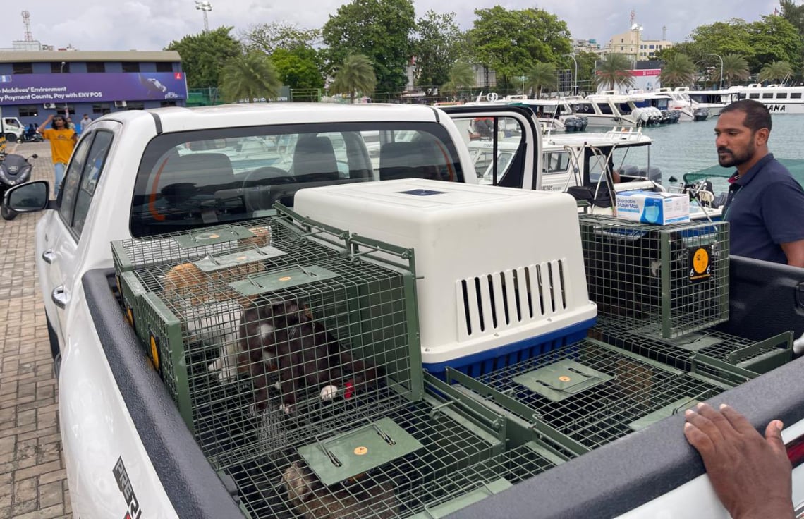 އޮޅުހިޔާ ފެސިލިޓީއަށް މިހާތަނަށް 352 ބުޅާ ގެންގޮސް، ނިއުޓަރ ކުރުމުގެ މަސައްކަތް ފަށައިފި