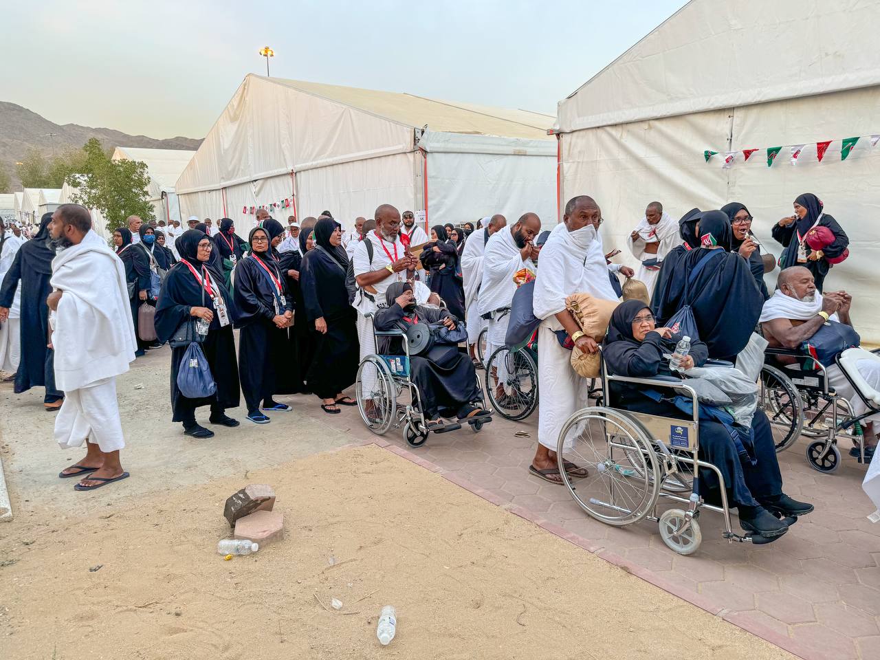 ޙައްޖުގެ އިންތިޒާމުތަކުގެ ފުރިހަމަ ކަމަށްޓަކައި ރައީސް ސަޢޫދީ ސަރުކާރަށް ޝުކުރު ދަންނަވައިފި